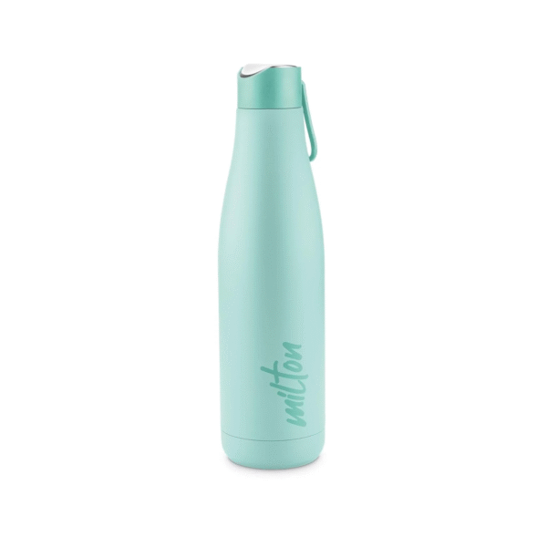 THERMOSTEEL COLOUR BOTTLE FAME 600 WITH COLOR