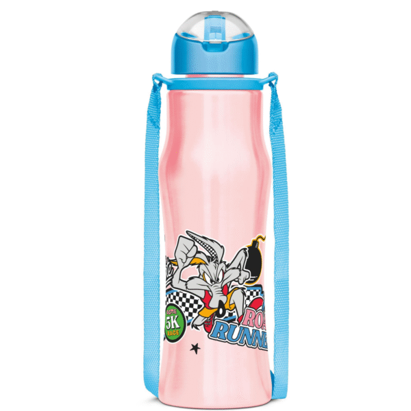 UNISTEEL WATER BOTTLE COLOUR SIPMATE 650 (WARNER BROTHER)