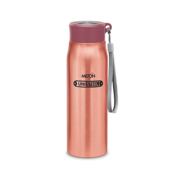 UNISTEEL WATERBOTTLE HANDY 650